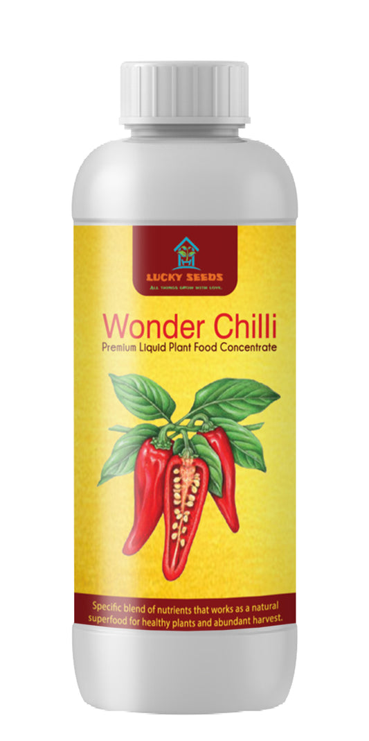WONDER CHILLI