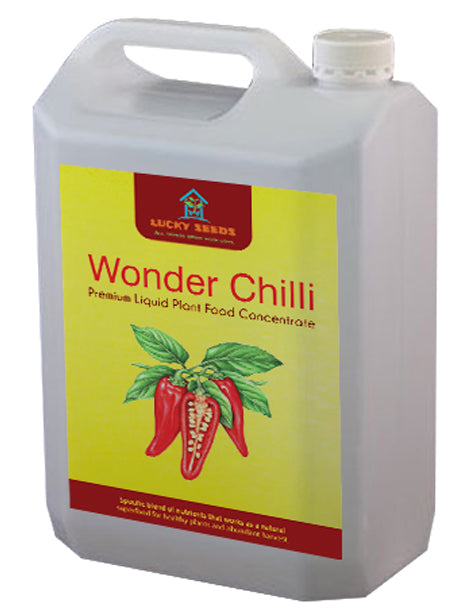 WONDER CHILLI