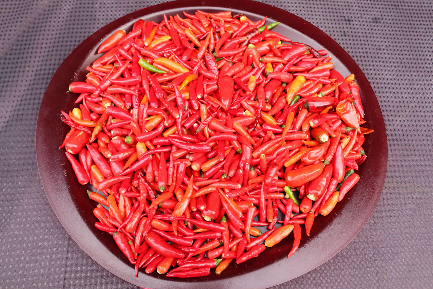 WONDER CHILLI