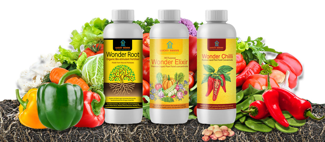 best natural fertilizer for chilli plants WONDER CHILLI FERTILSER- for chilli, peppers, naga,morich – LUCKYSEEDS