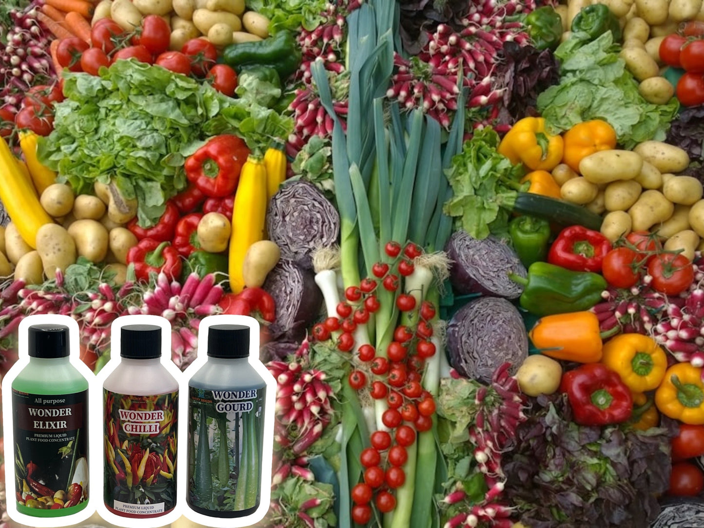 WONDER GOURD PLANT FERTILSER for bottle gourd, lao,dudhi,laauki feed